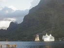 moorea_boats.jpg