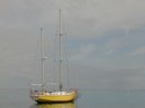 Boats in Moorea