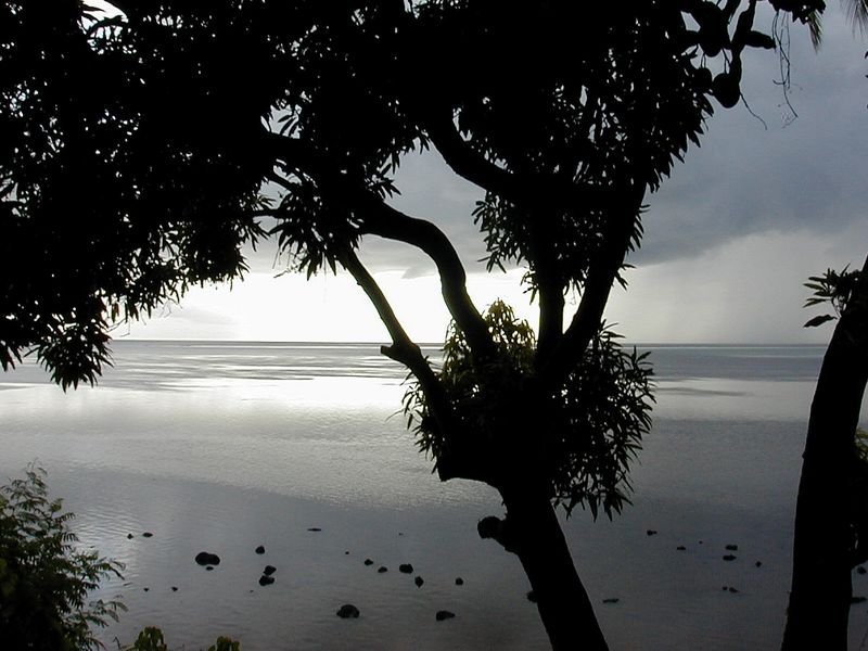 moorea_linareva_gray.jpg, 81 kB