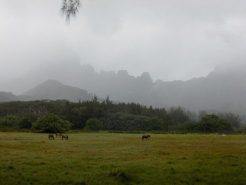 moorea_opunohu_valley.jpg, 47 kB