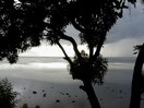 moorea_linareva_gray.jpg