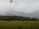 The dark side of Moorea