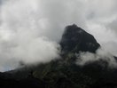 moorea_pierced.jpg