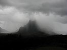 moorea_rotui_gray.jpg