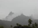 moorea_shades.jpg