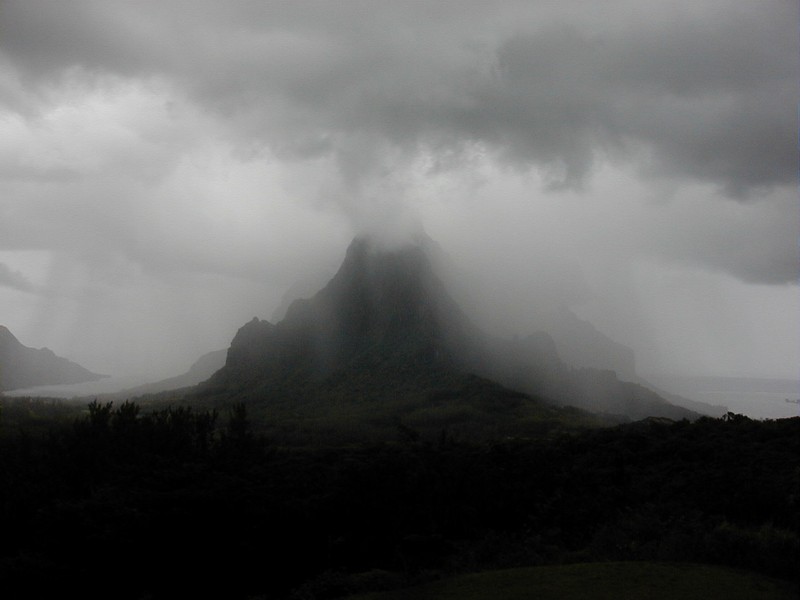 moorea_rotui_gray.jpg, 48 kB