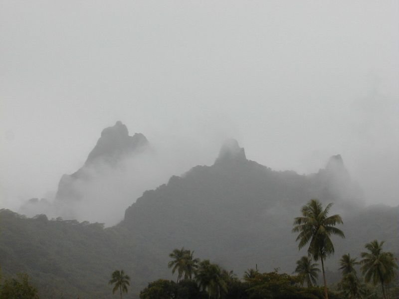 moorea_shades.jpg, 29 kB