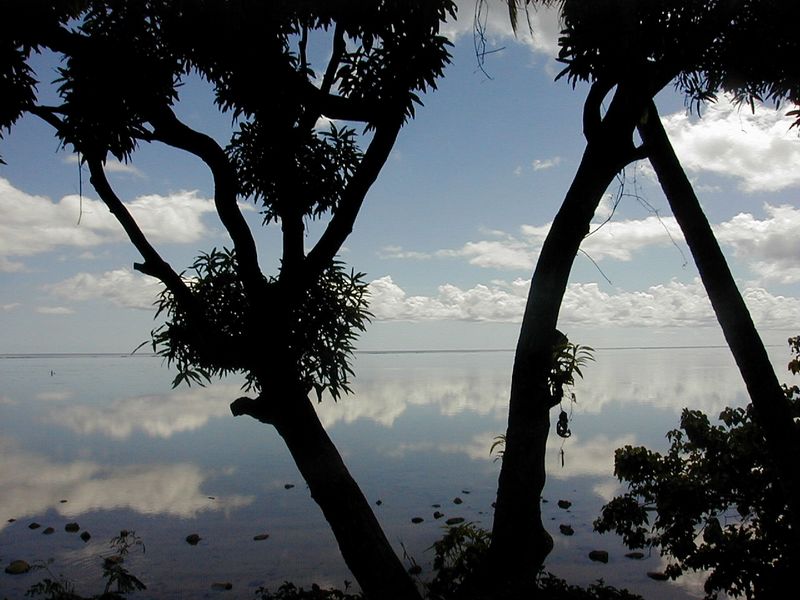 moorea_linarev.jpg, 78 kB