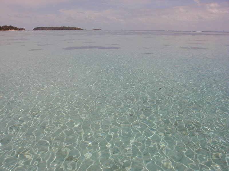 moorea_motu1.jpg, 82 kB