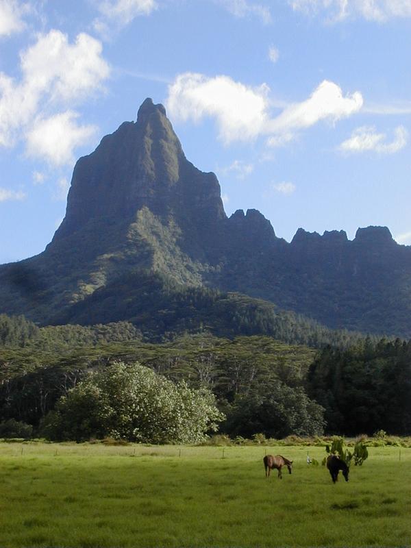 moorea_mouaroa_opunohu.jpg, 58 kB