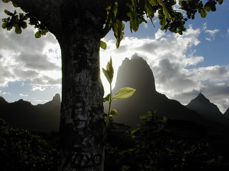 moorea_mouaroa_view.jpg, 79 kB
