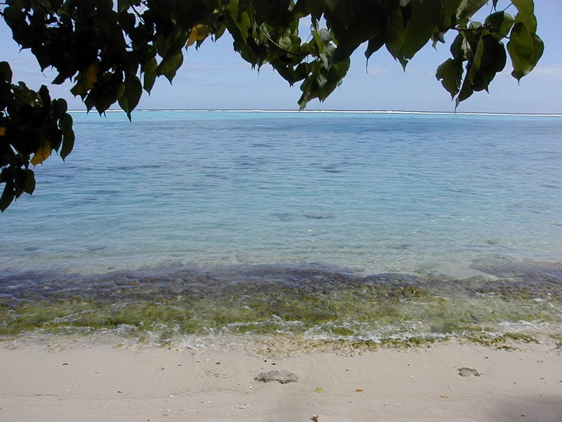 moorea_painapobeach.jpg, 101 kB