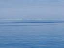 moorea_haapiti.jpg