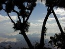 moorea_linarev.jpg