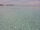 moorea_motu1.jpg