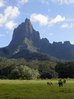 moorea_mouaroa_opunohu.jpg