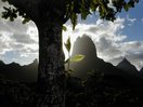 moorea_mouaroa_view.jpg