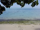 moorea_painapobeach.jpg